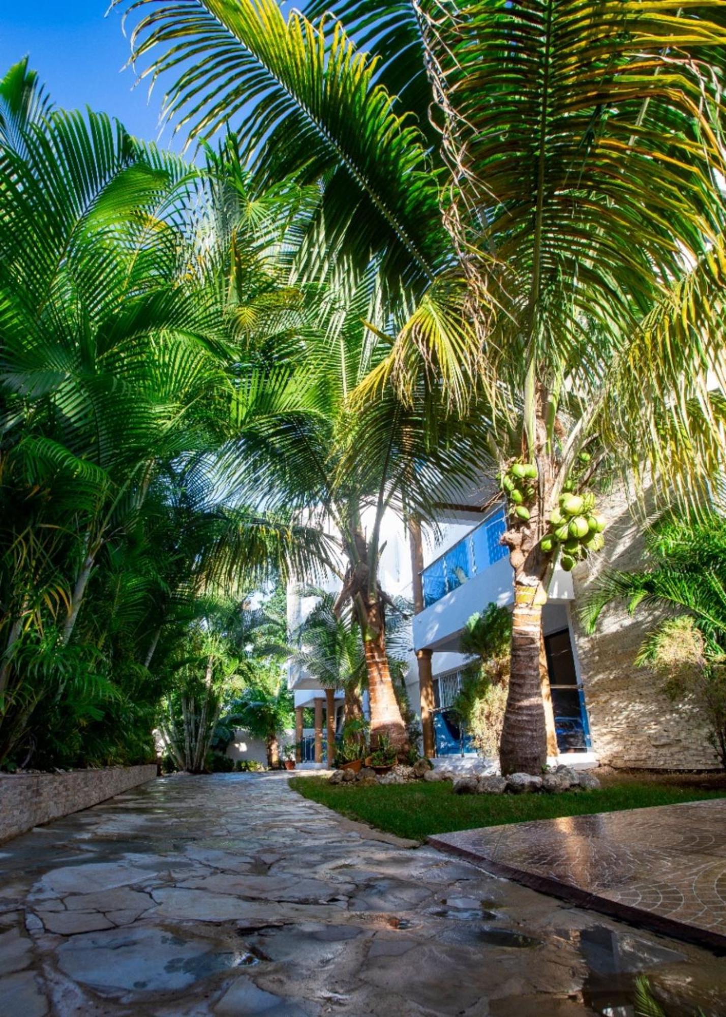 Cozy And Central Apartment 1Br-1Ba With Pool Sosúa Εξωτερικό φωτογραφία